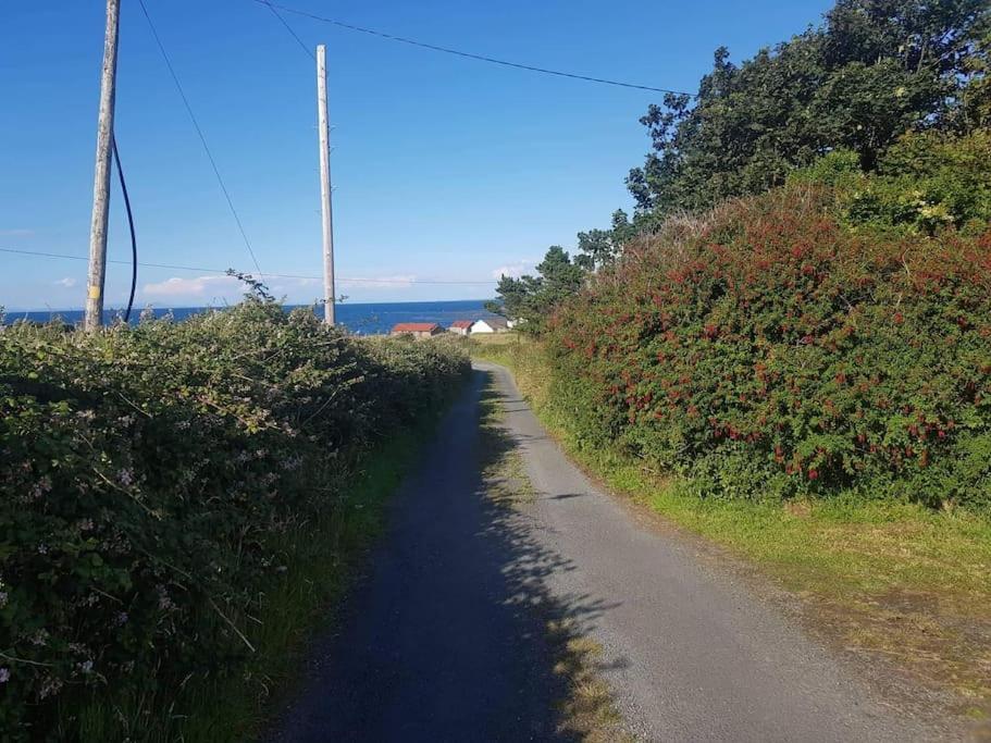 Coastal Cottage Dromore West Exteriör bild